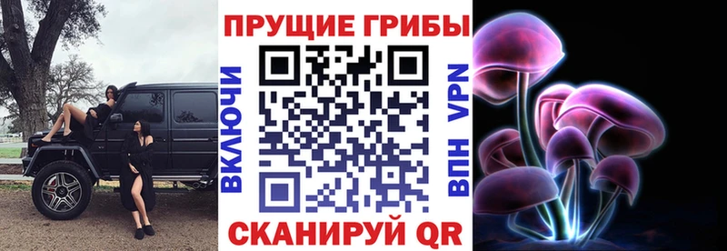 Псилоцибиновые грибы GOLDEN TEACHER  цены   Ардон 